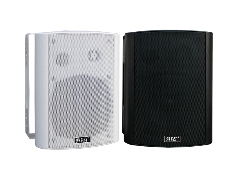 室內壁掛音（yīn）箱（黑白可選（xuǎn））
