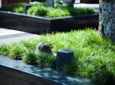 景區IP網絡廣播係統解決方（fāng）案