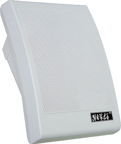 室內壁掛音箱