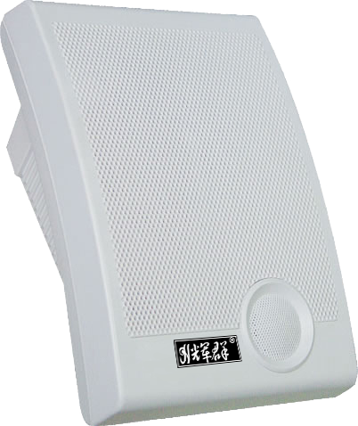 室內（nèi）壁掛音箱