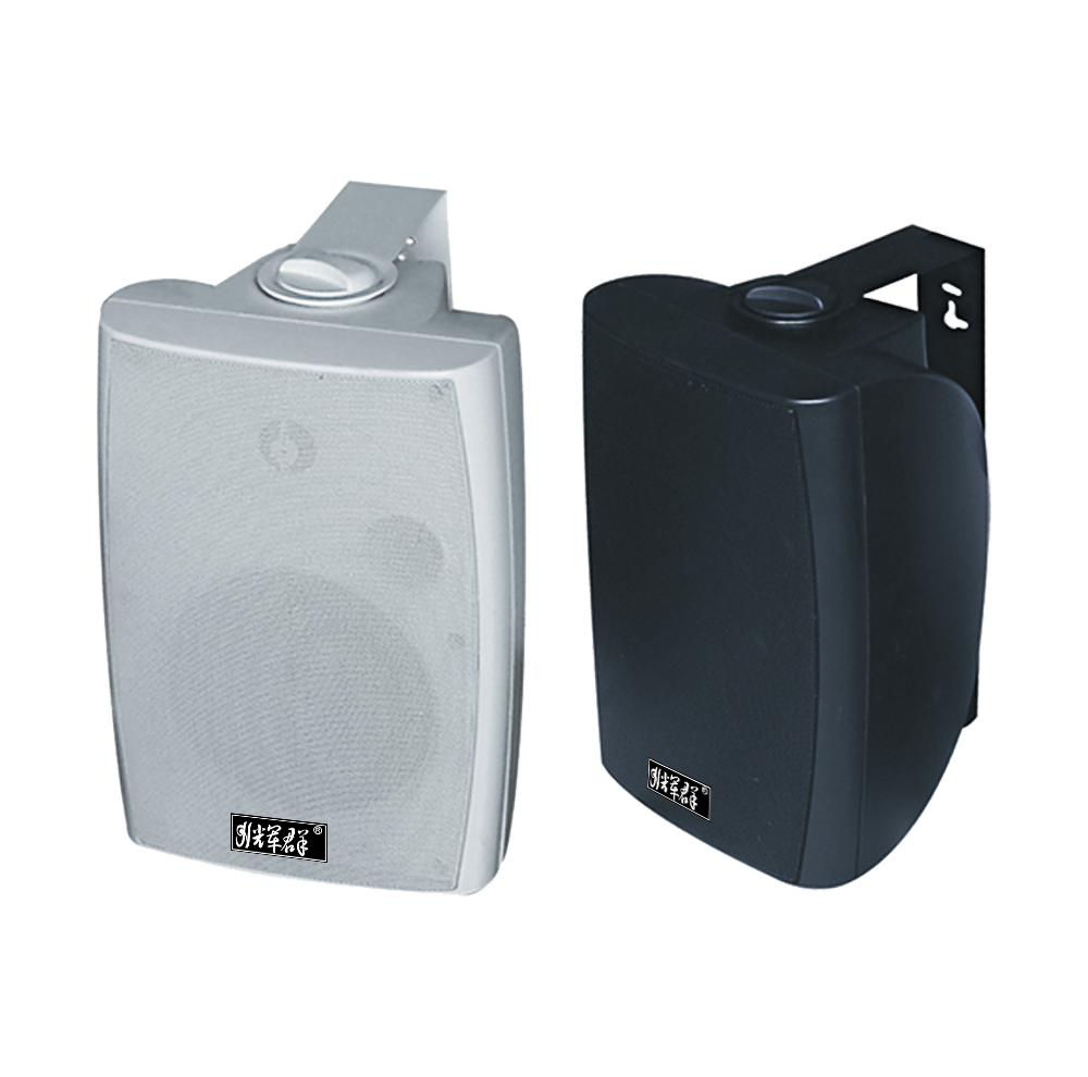 室內壁掛音箱（黑白可選）