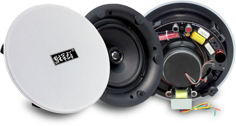 窄邊同軸吸頂喇（lǎ）叭